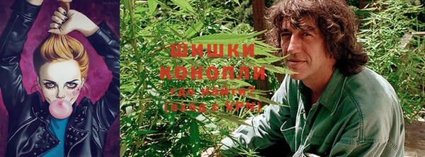 ALPHA-PVP Богородицк
