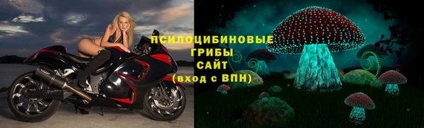 индика Семёнов