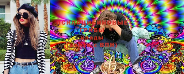 ALPHA-PVP Богородицк