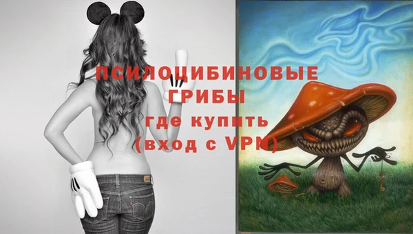 прущие крисы Богородск