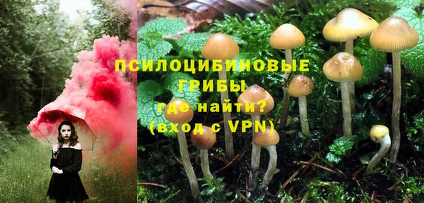 прущие крисы Богородск