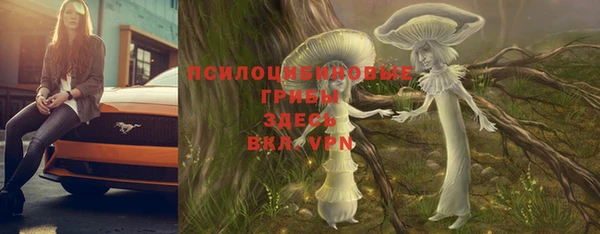 прущие крисы Богородск